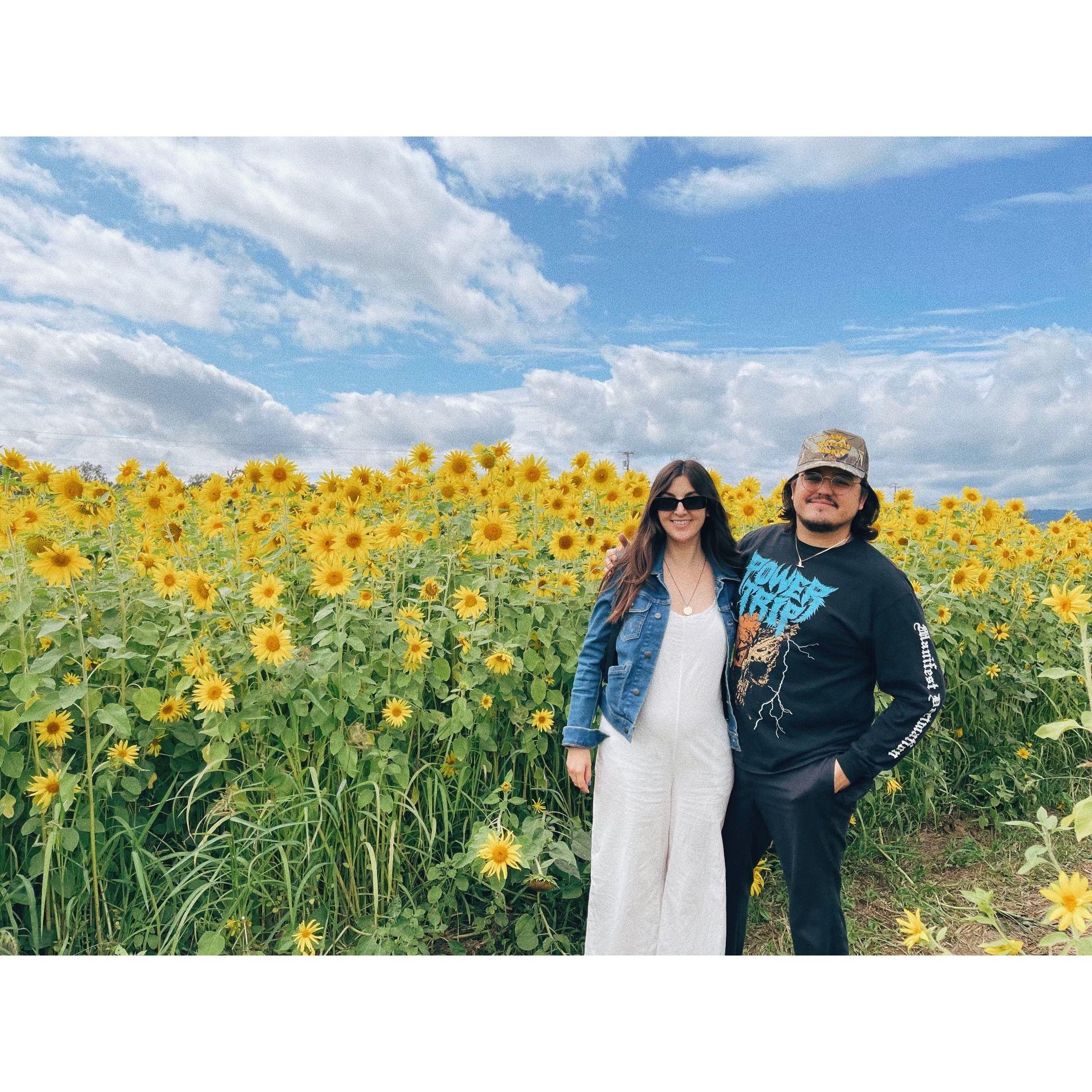 The day we found out we were having a boy! And then walked through the sunflower maze on Sauvie Island.