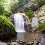 Pisgah National Forest