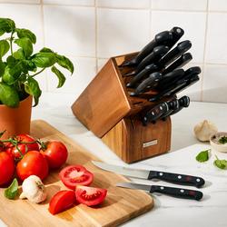 Wüsthof, 16-Piece Knife Block Set, Gourmet | Zola