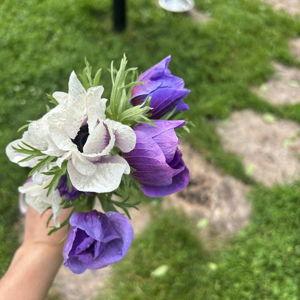 Our Garden Fund