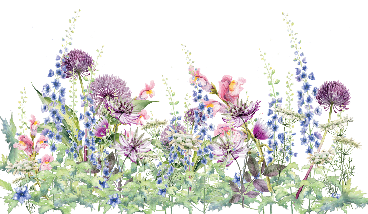 Footer image