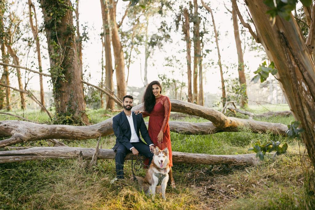 The Wedding Website of Annesha Ganguly and Shantanu Shahabadi