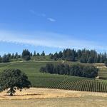 Willamette Valley Wine Country