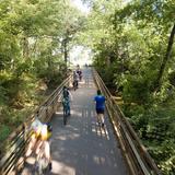 Swamp Rabbit Trail