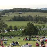Arrington Vineyards