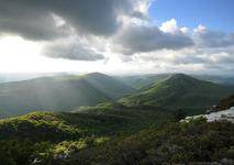Pisgah Forest