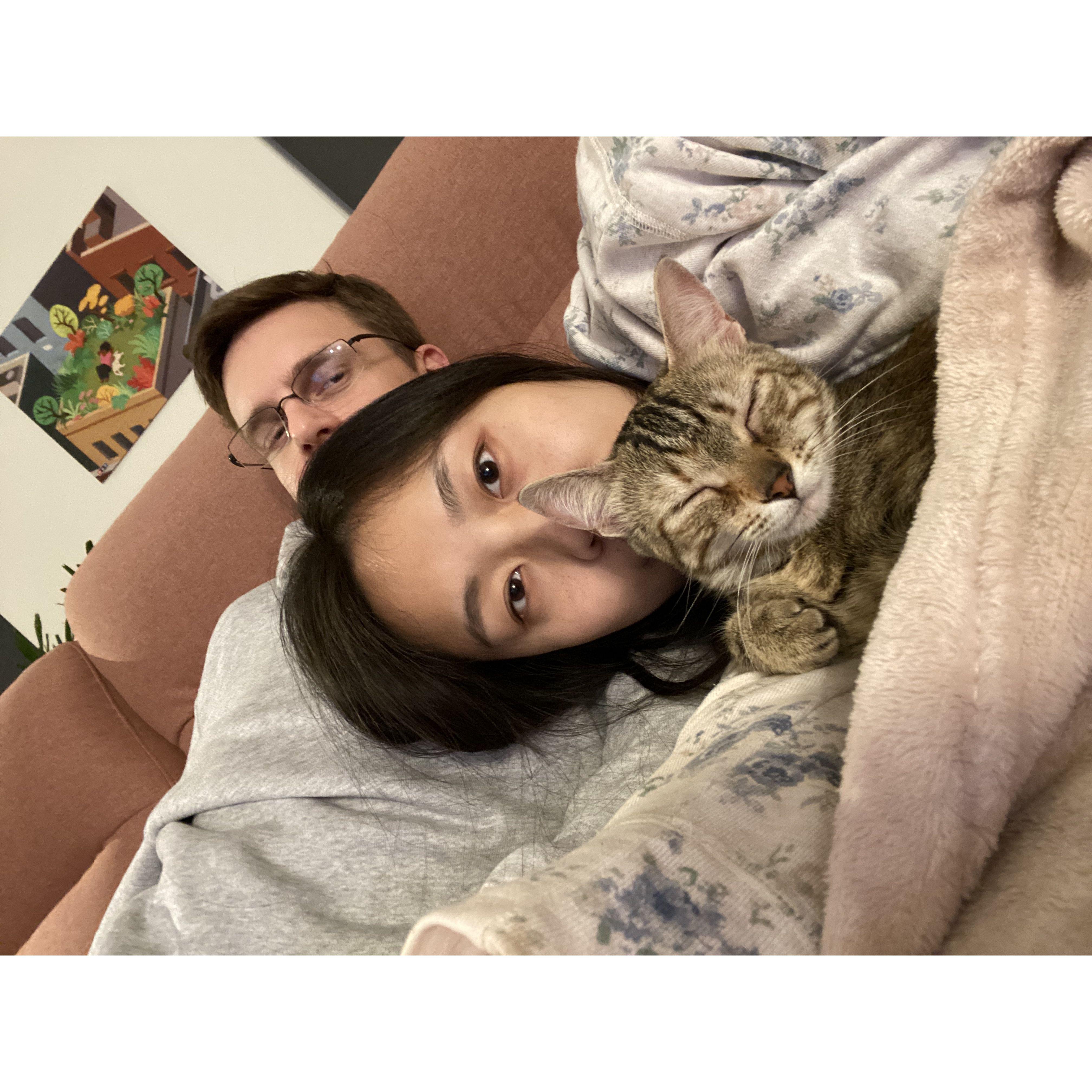 Adopted our baby cat, Lucy!