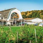 Millbrook Vineyards & Winery