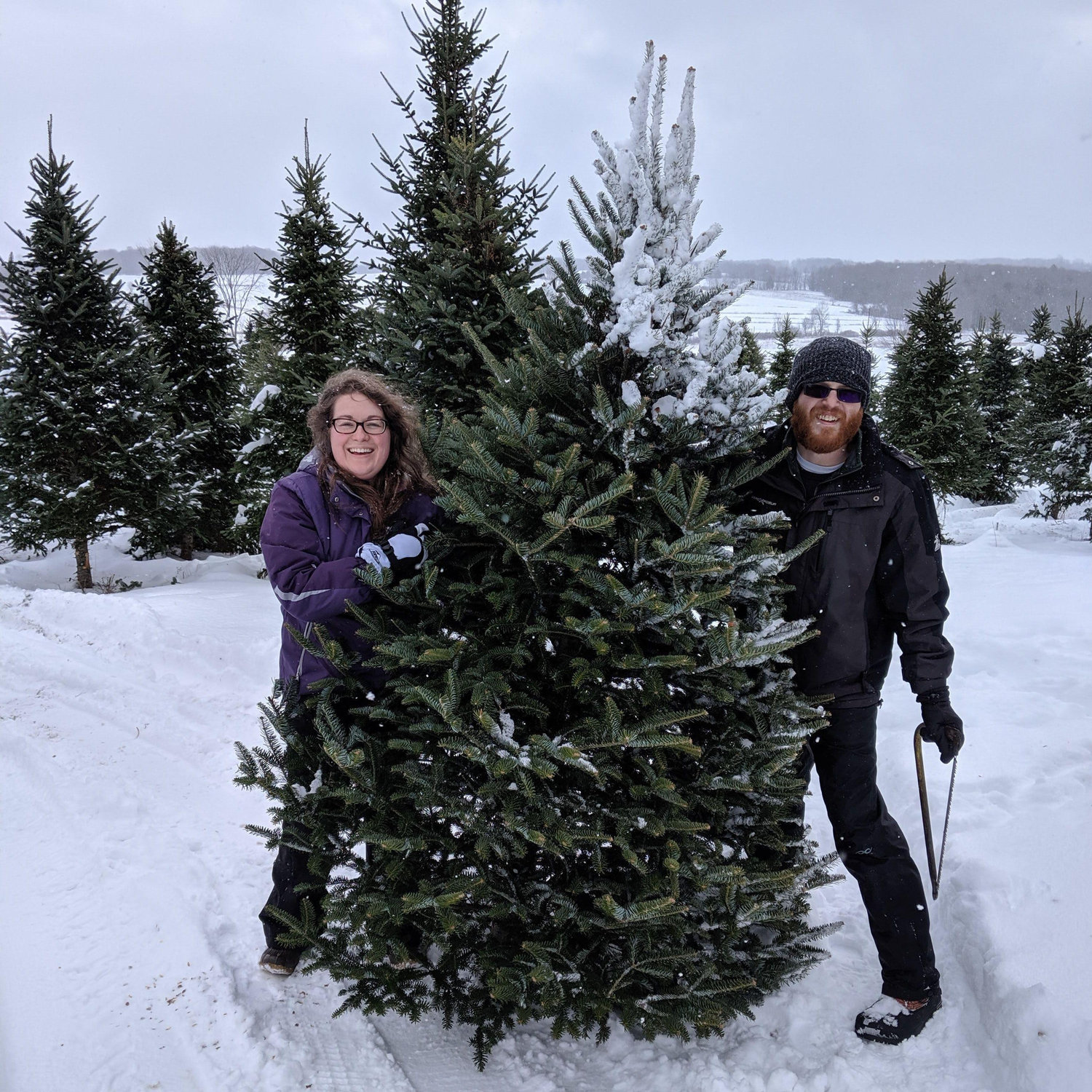 Our second live Christmas tree, 2019. The snow always makes it better!