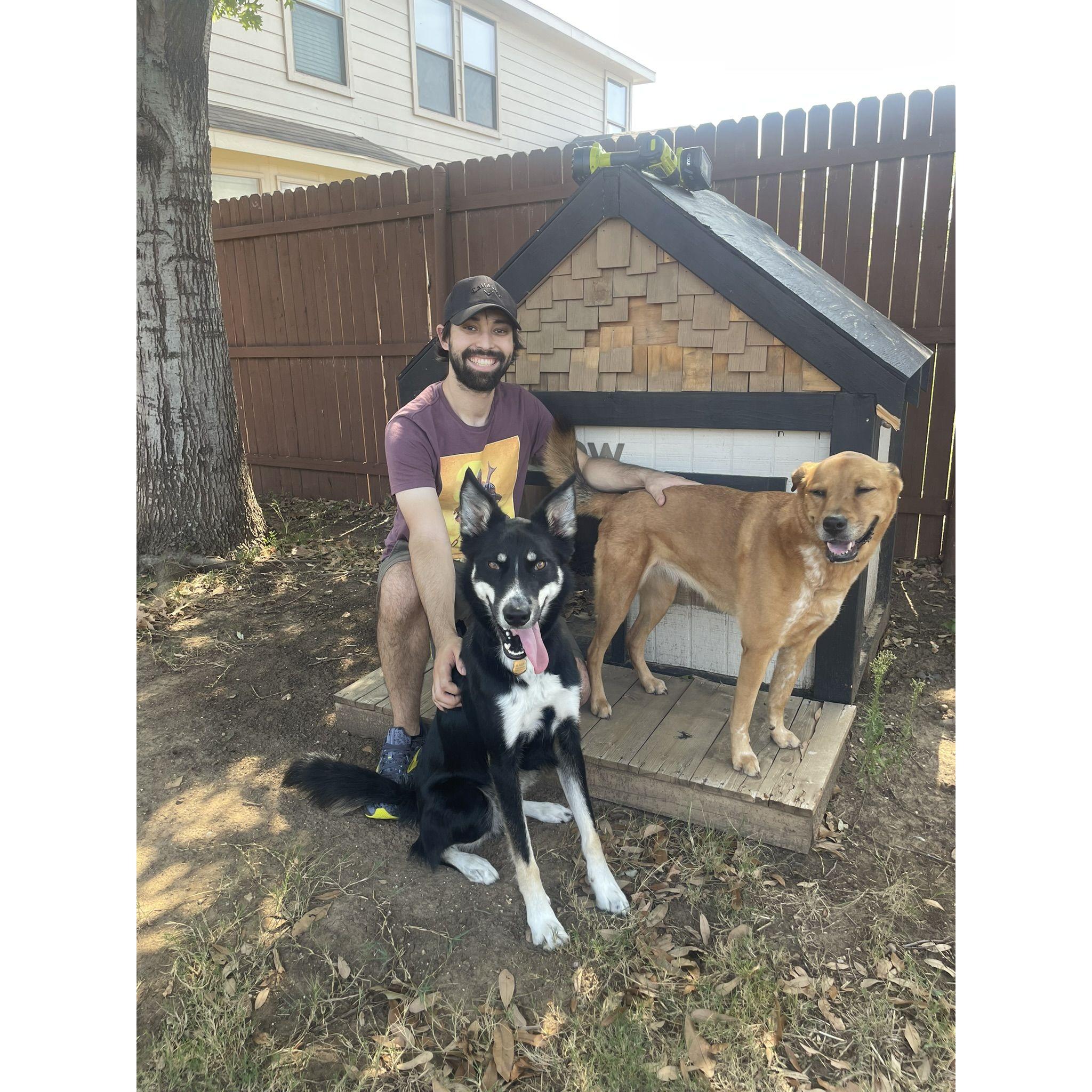 Omar and the dogs when we only had two.