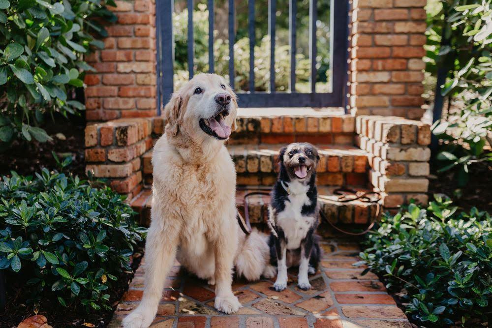 The Wedding Website of Chelsea Lawlor and Jillian Marcus