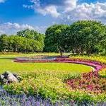 The Dallas Arboretum and Botanical Garden