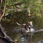 Strack Pond