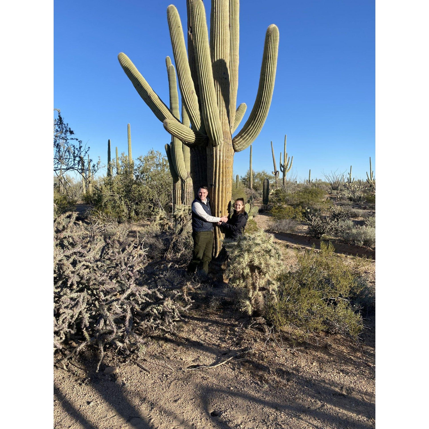 Because who doesn't hug a cactus in the Saguaro Desert?