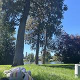 Visit Drake Park and Mirror Pond