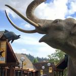 Museum of Natural and Cultural History
