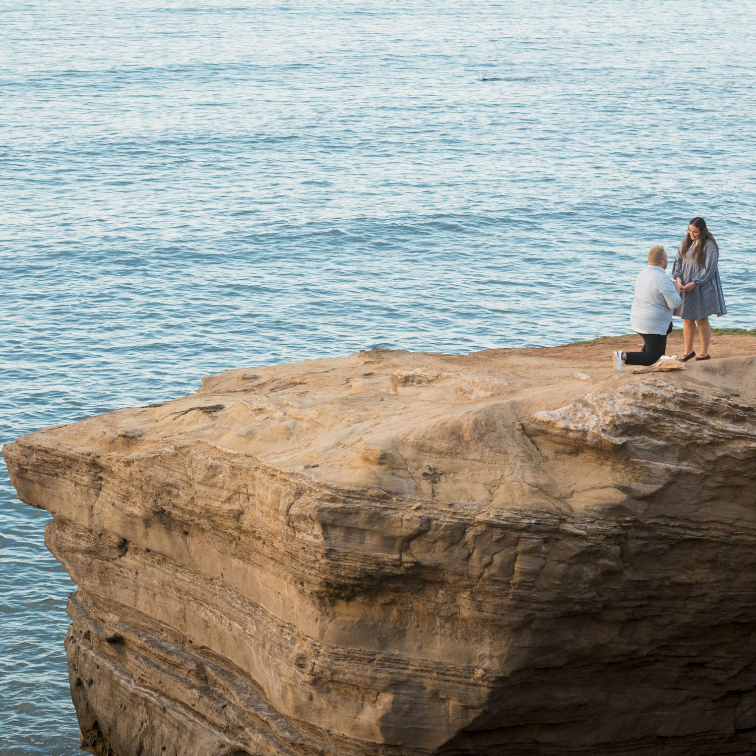 THE Proposal