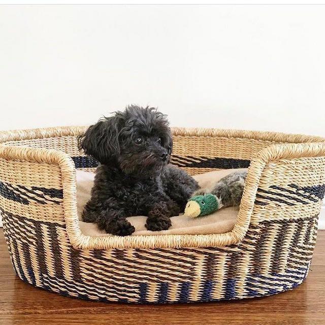 Design Dua Dog Bed