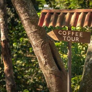 Coffee Tour