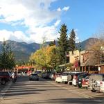 Whitefish