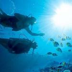 PADI Certified Scuba Diving