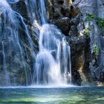 Shasta National Forest