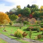 Arboretum & Botanical Garden