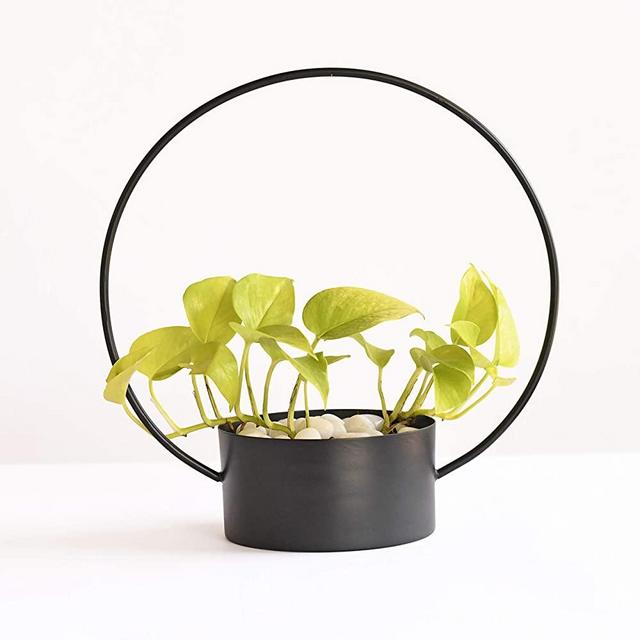 Plant Stacks Metal Plant Stand | 12"H x 6"D Indoor Single Plant Holder | Handmade Modern Succulent Flower Pot | Black | Forbidden Basket