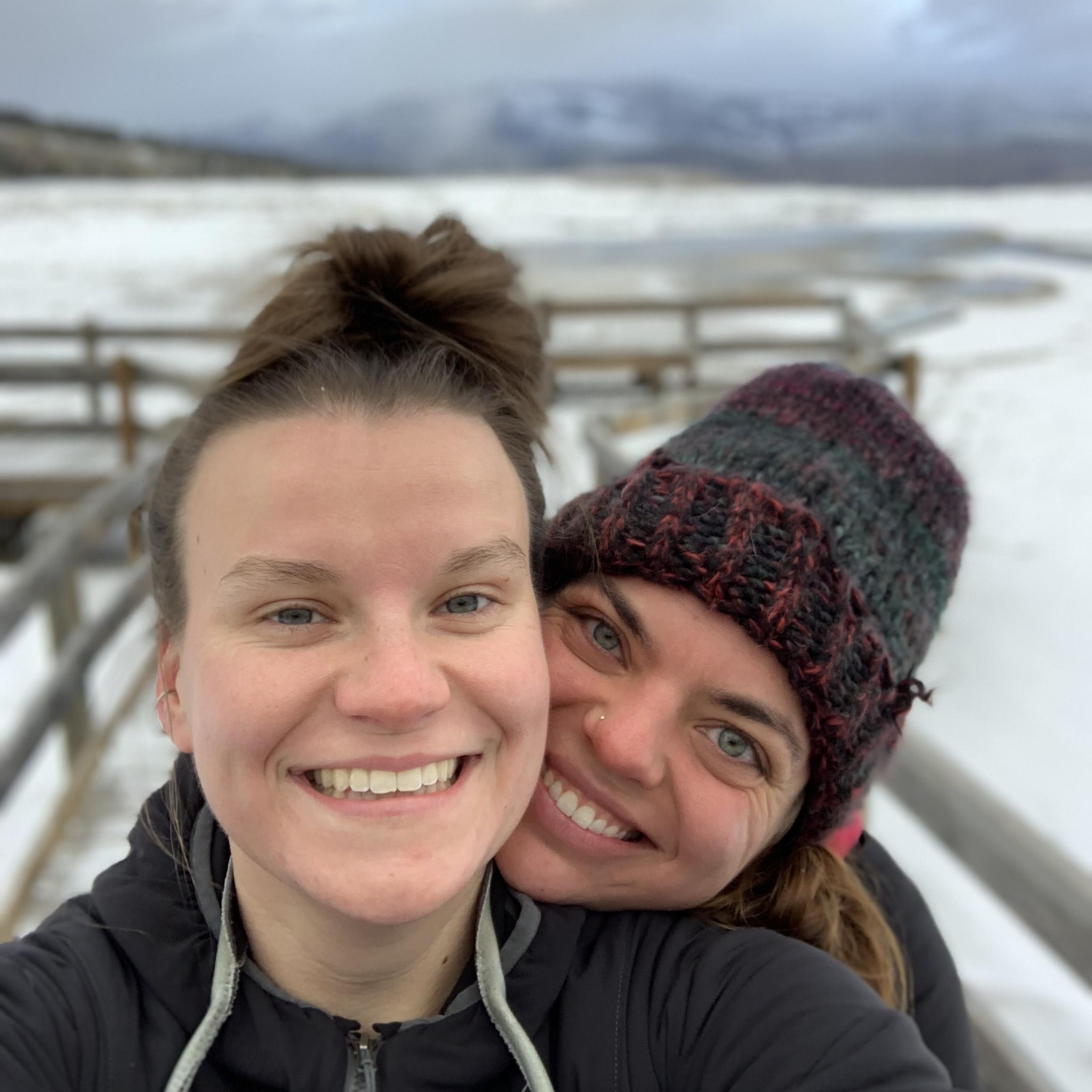 6 hours in Yellowstone National Park—one of our favorite road trip pit stops. (November 2018)