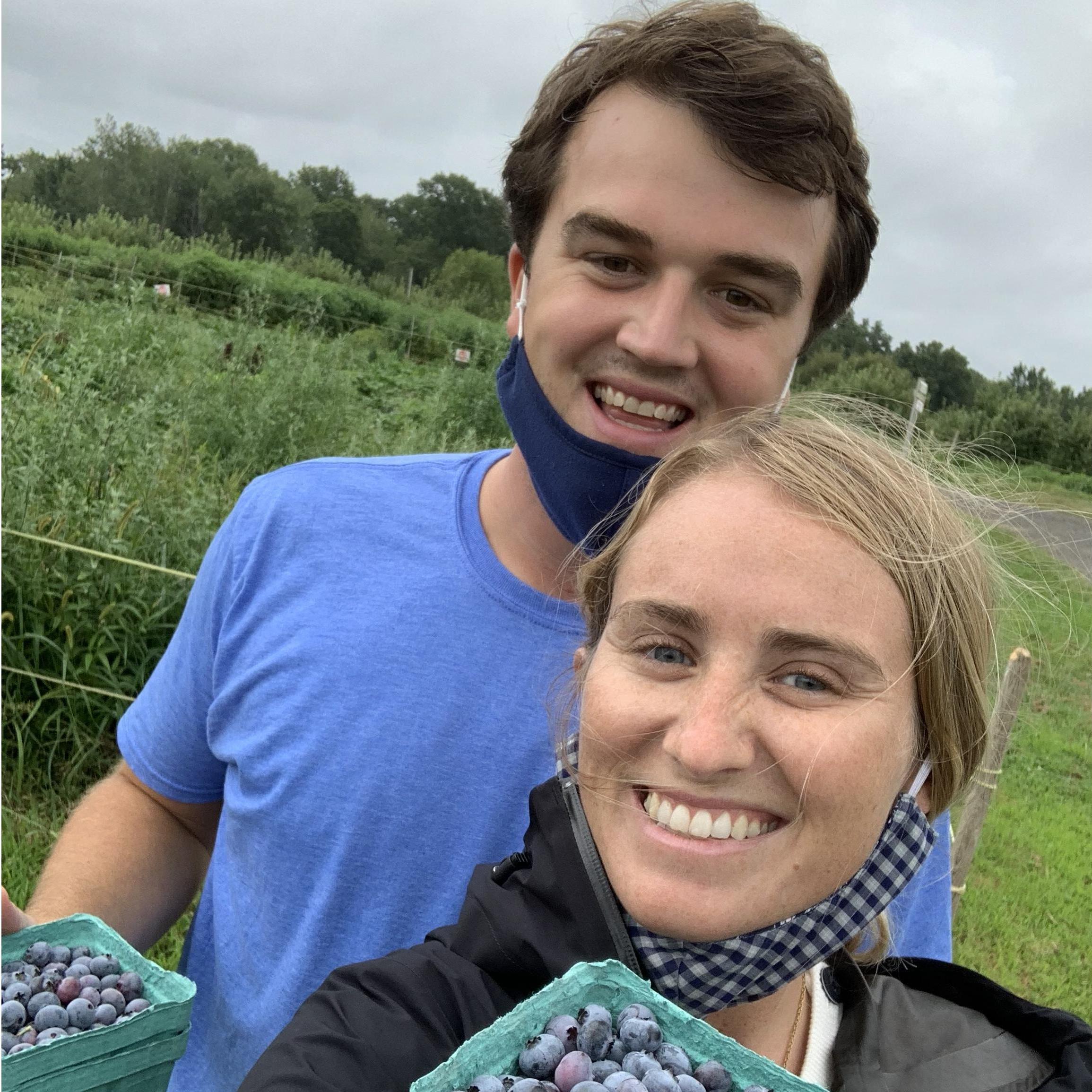 Blueberry picking in Massachusetts (2020)