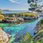 Point Lobos State Natural Reserve