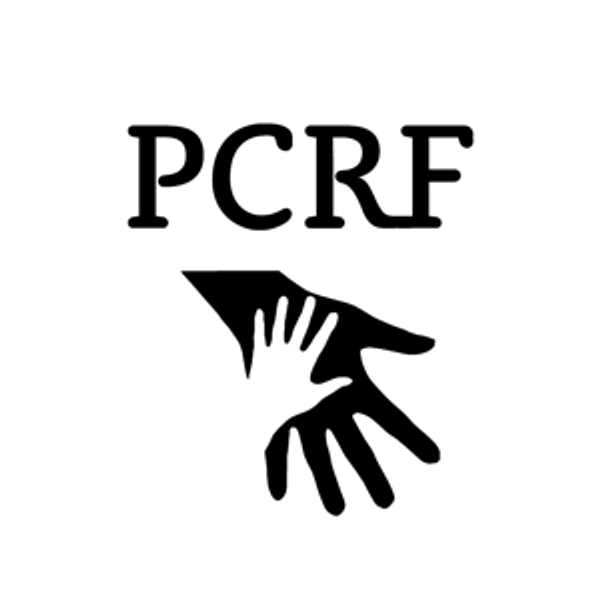 Donate to Palestine Children's Relief Fund