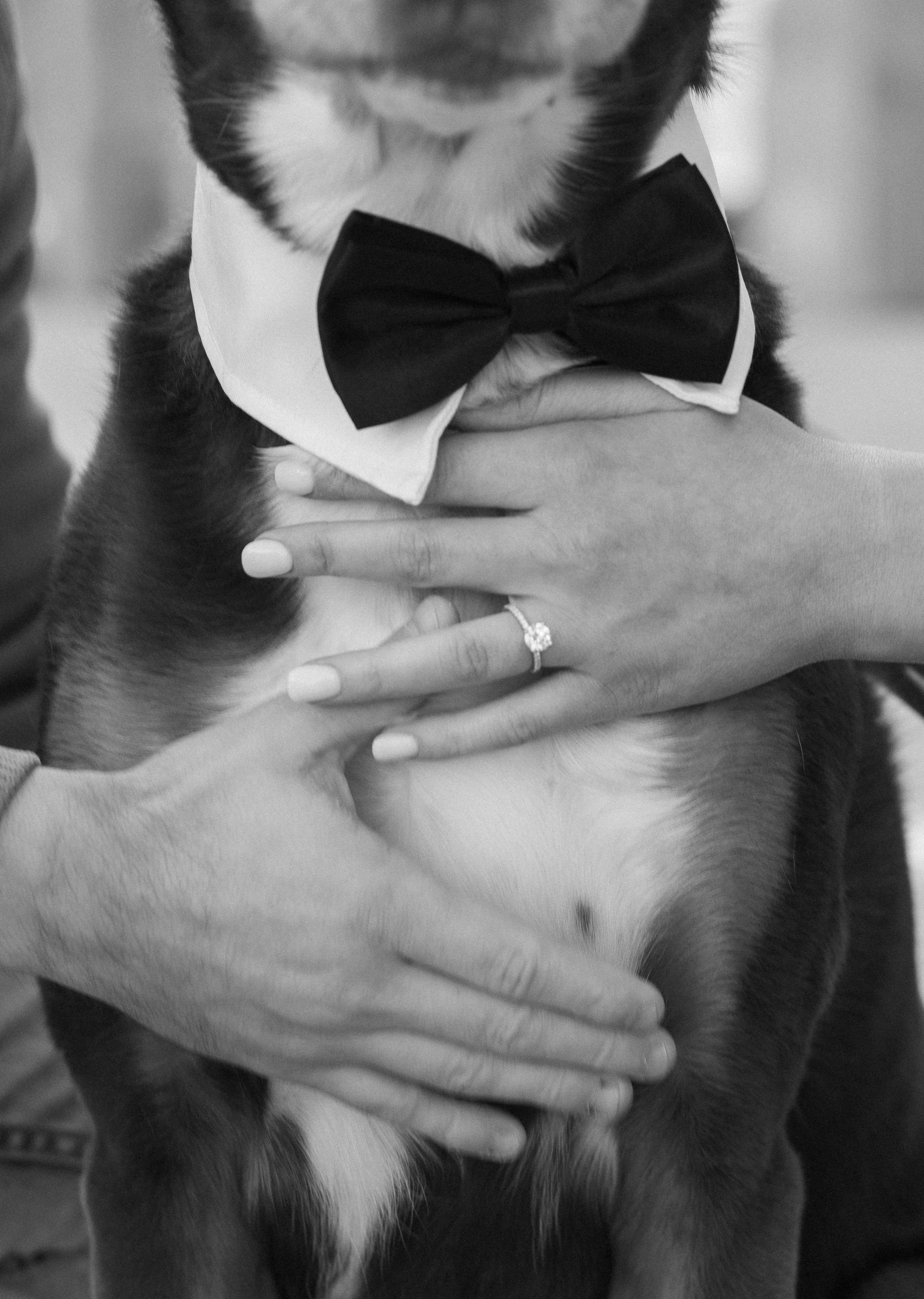 The Wedding Website of Jensen Panegasser and Chance Nelson