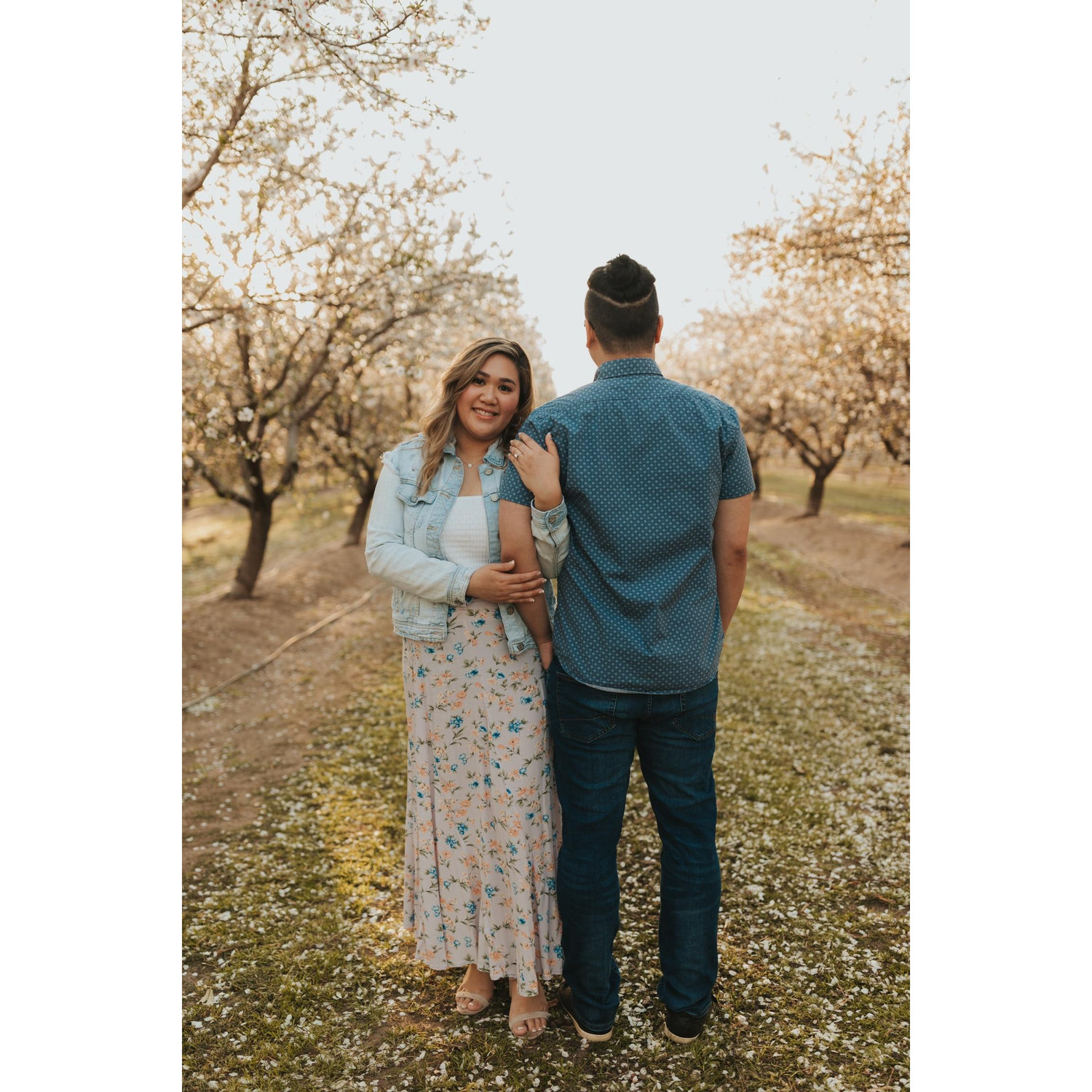 Almond Orchard — Modesto, CA