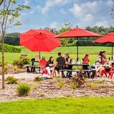 Red Top Winery