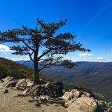 Ravens Roost Overlook