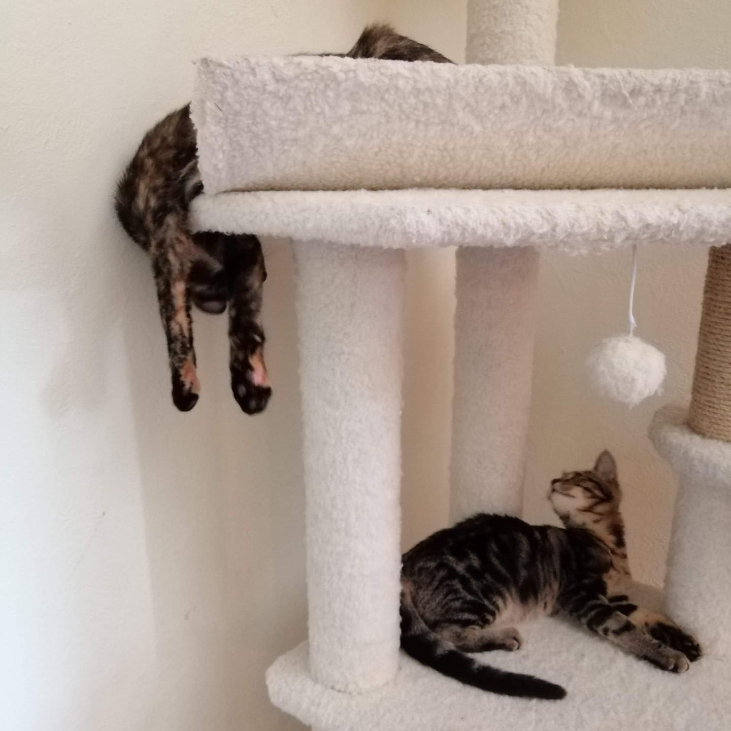 A Renaissance painting.