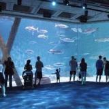 Audubon Aquarium