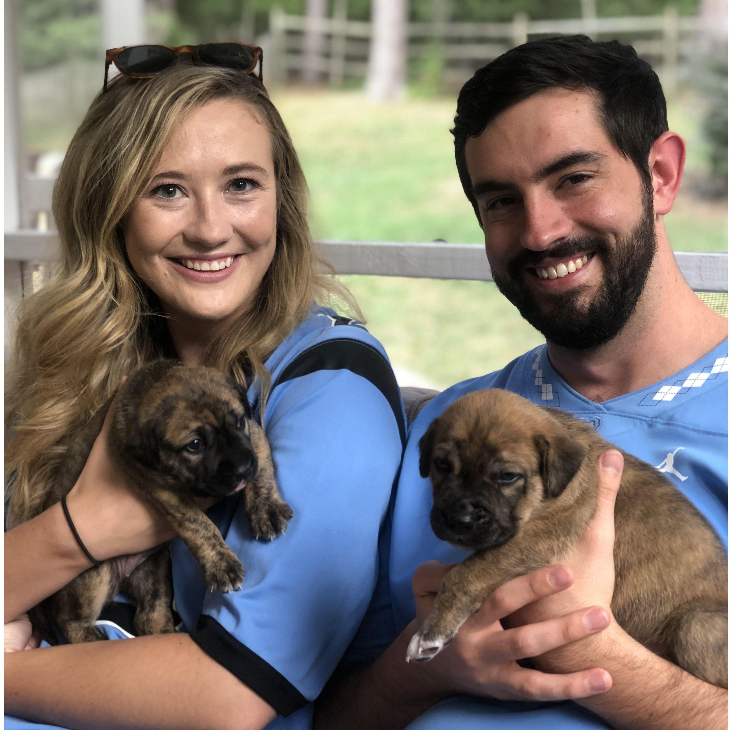 Loving on some foster puppies