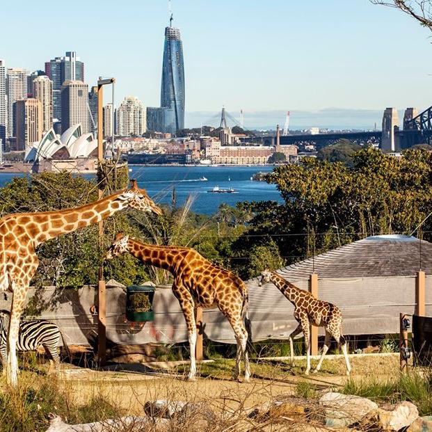 Tickets to the Sydney Zoo