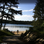 Nickerson State Park