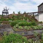 Queen Creek Botanical Gardens