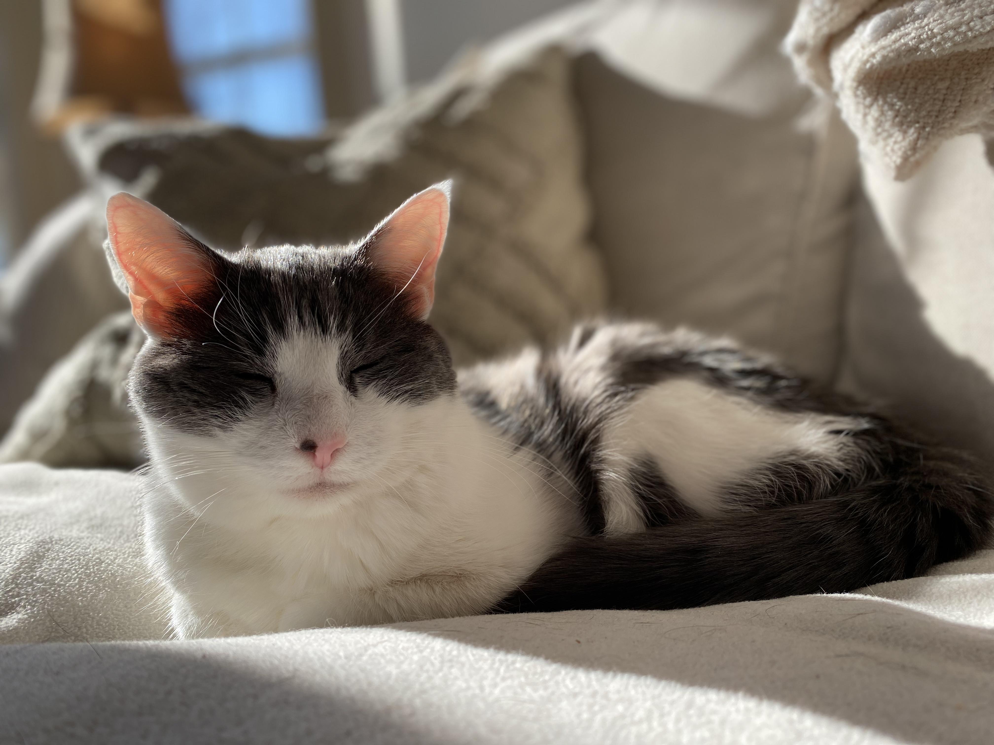 The Wedding Website of Katy Gundy and Jack Steinharter