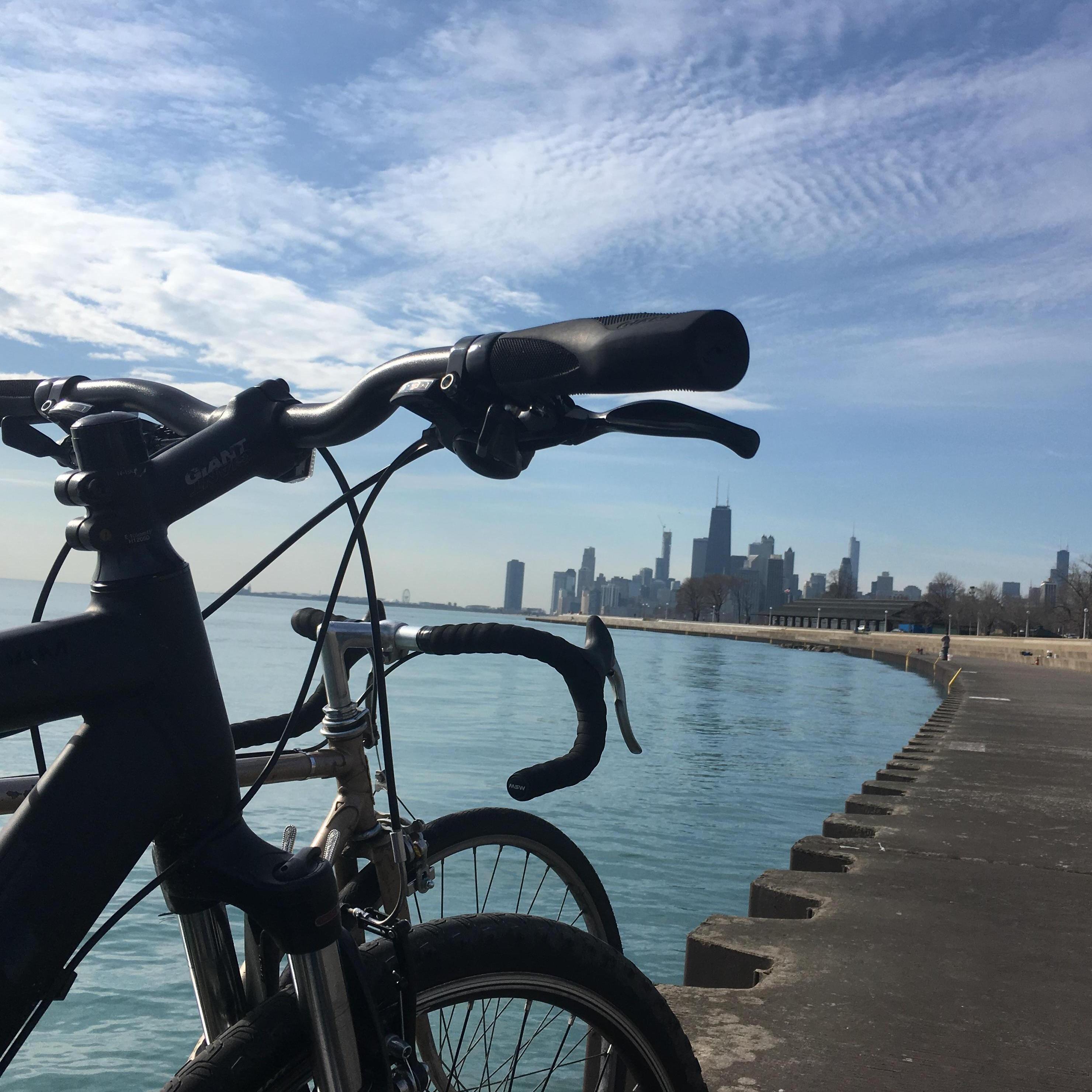 Their two bikes - Black Stallion & Falcon - have started to become friends too