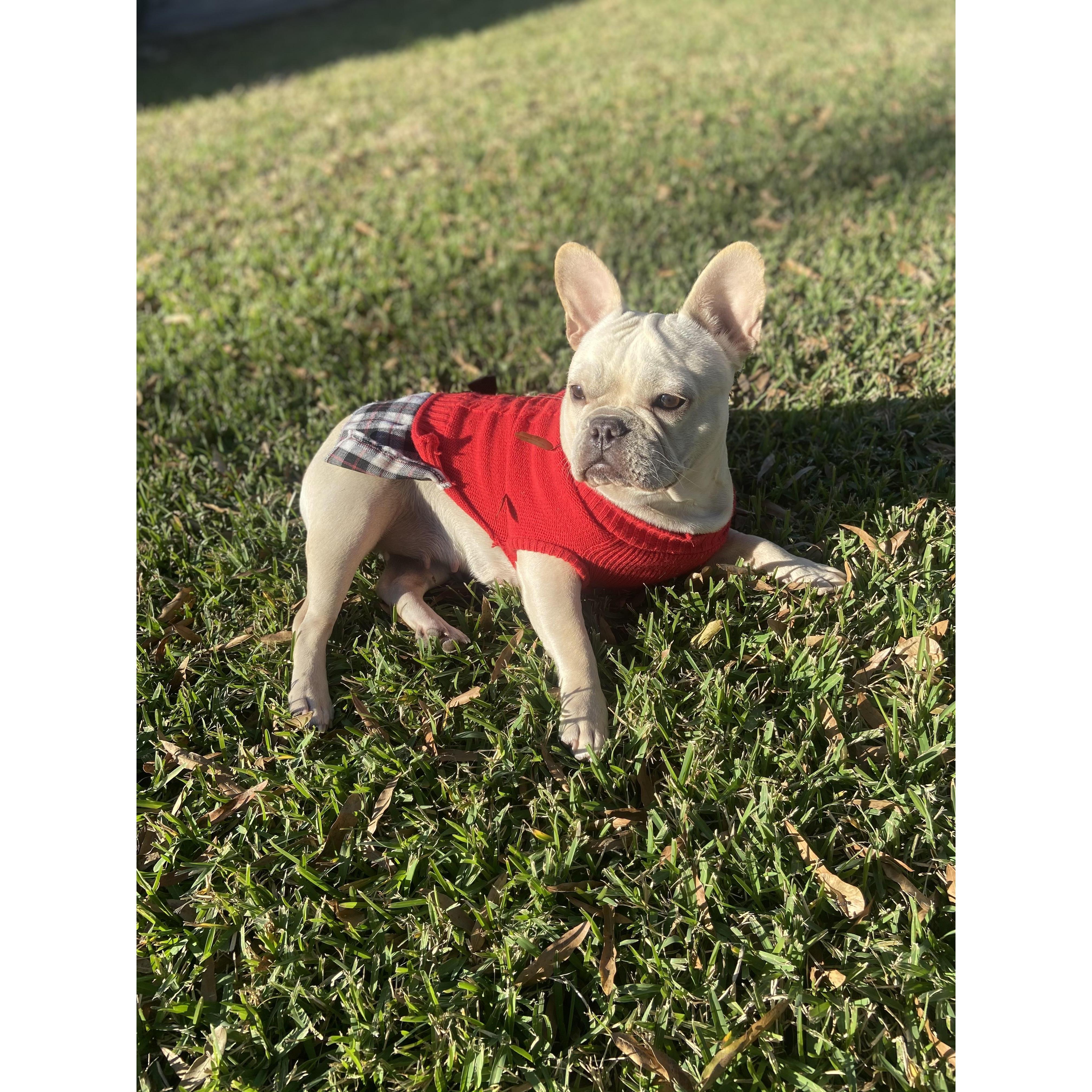 Our girl April (We actually sing it like a theme song)
