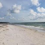 Caladesi Island