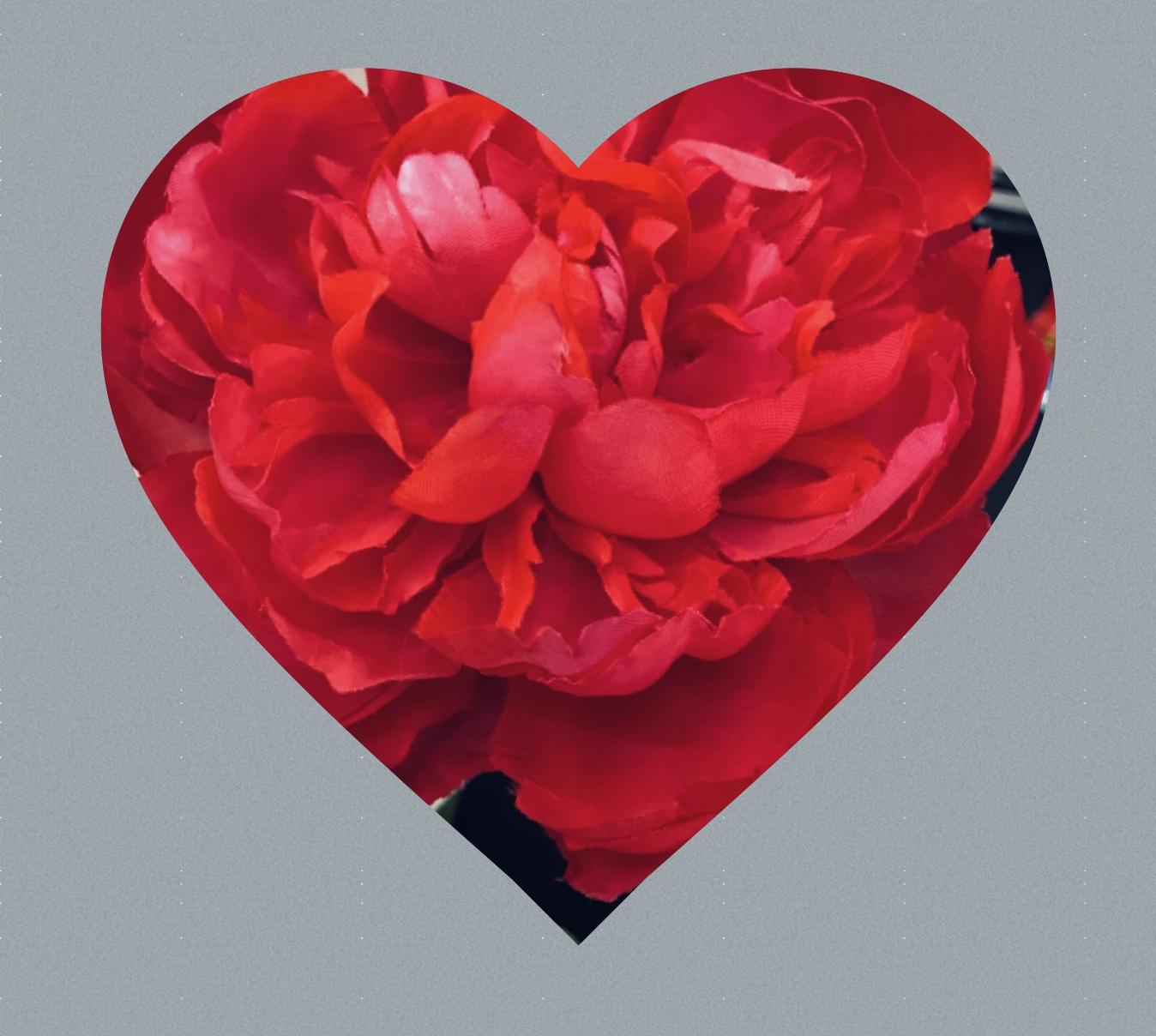 The Wedding Website of Kia Goss and Tracy Ashley
