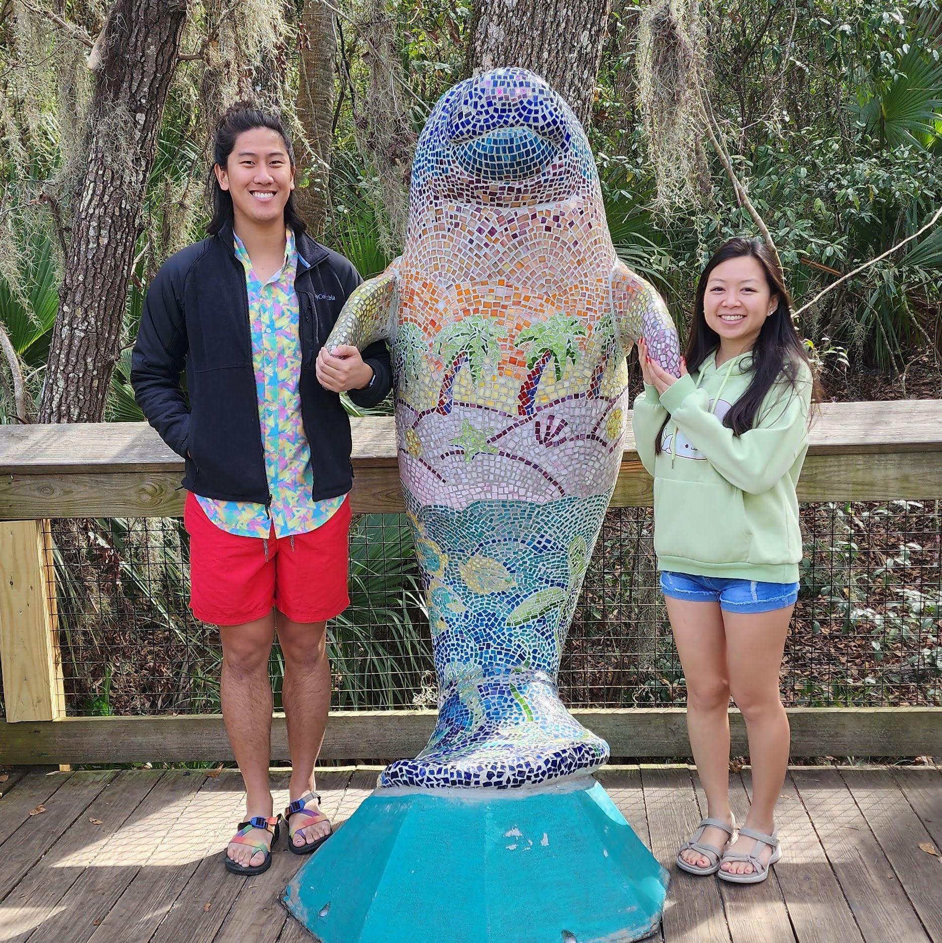 with the Manatees in Florida
