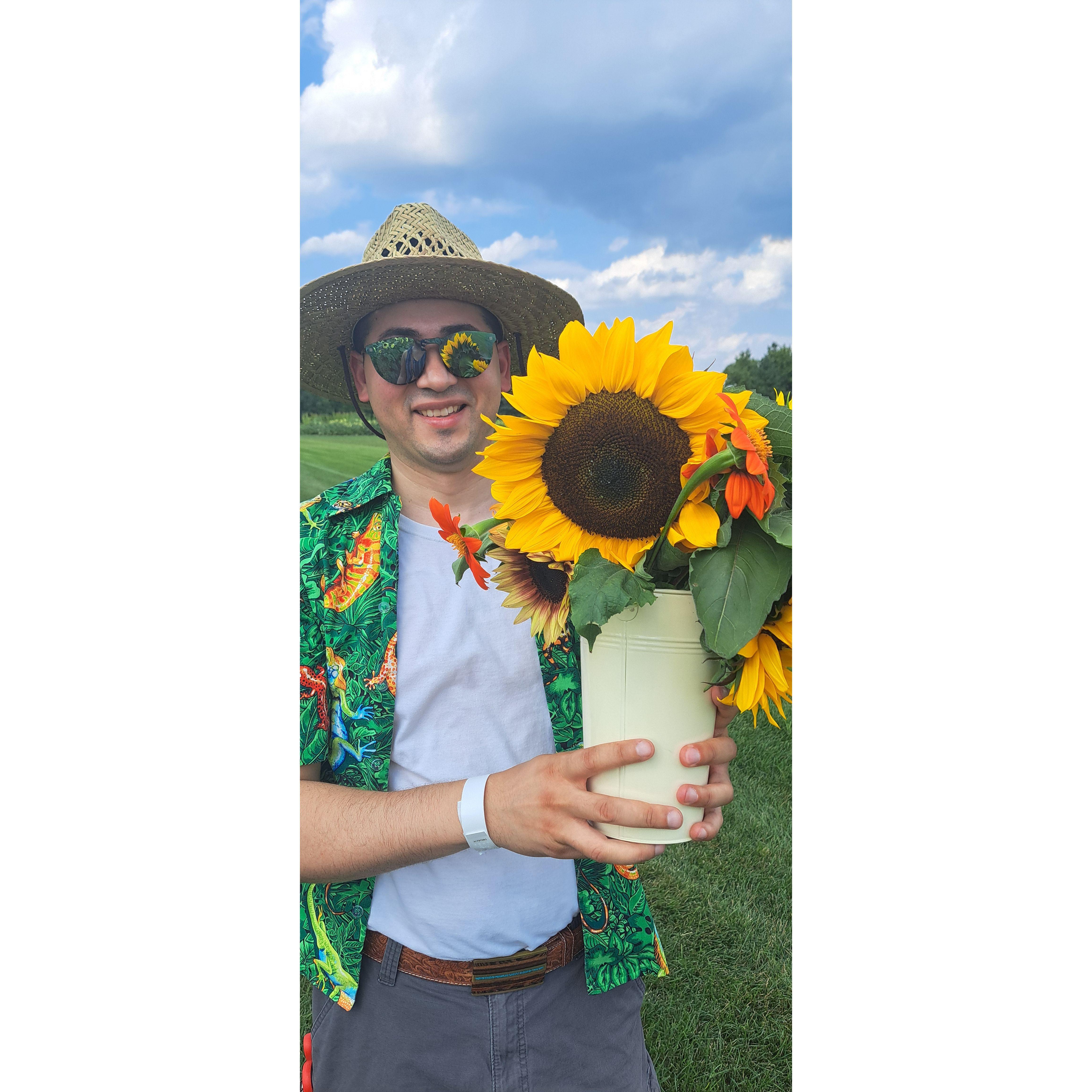 Sunflower Festival 2024