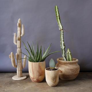 Pure Paulownia 2-Piece Wood Pot Set